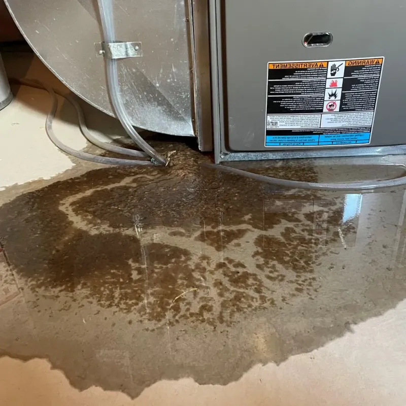 Pipe Burst and Leak Restoration in Patrick County, VA