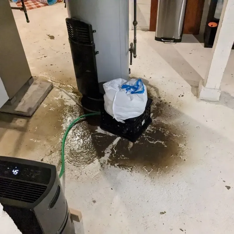Sewage Backup Cleanup Service in Patrick County, VA